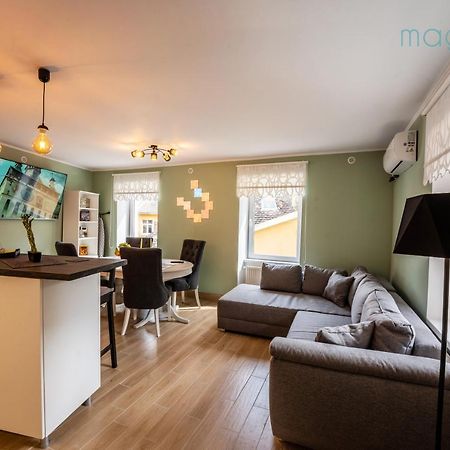 Magnolia Central Apartment #1 シギショアラ エクステリア 写真