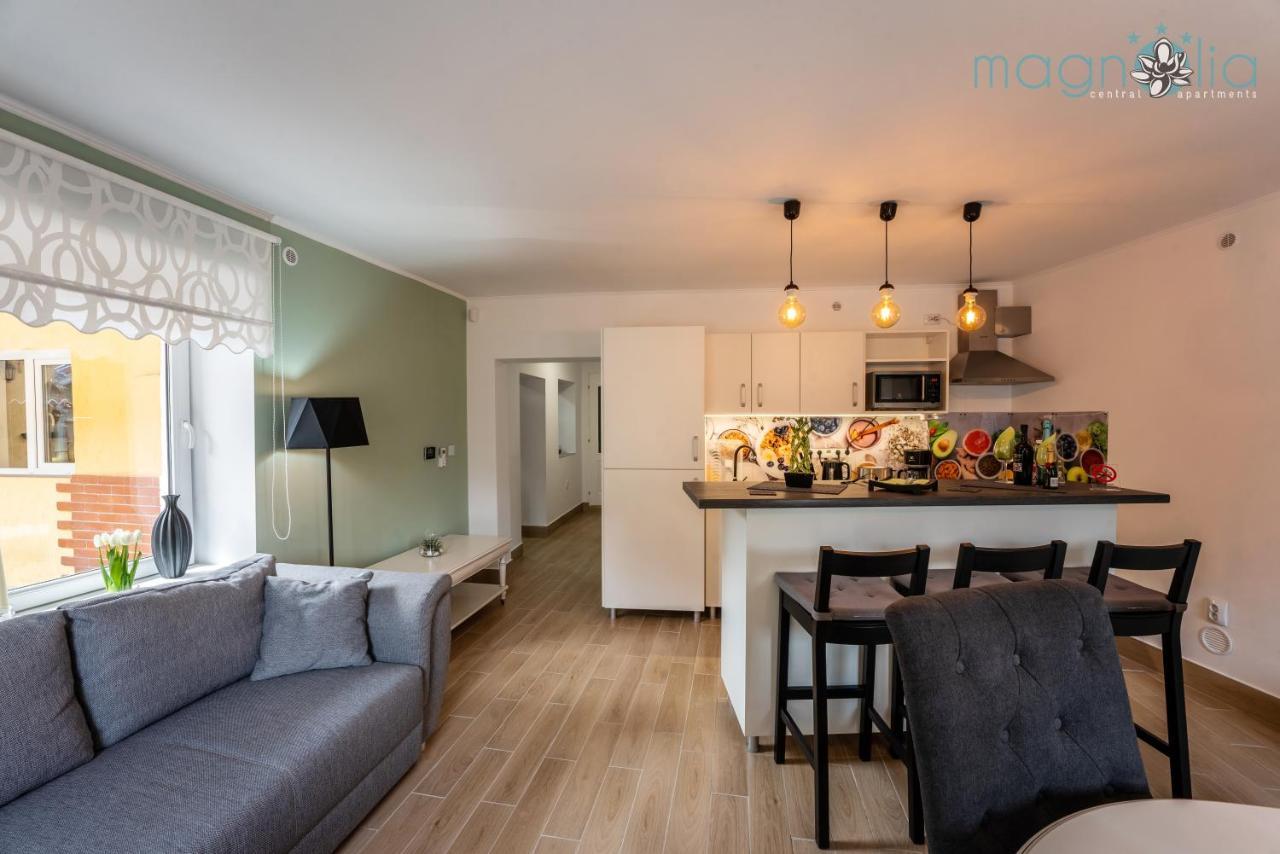 Magnolia Central Apartment #1 シギショアラ エクステリア 写真